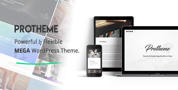 Protheme - Powerful & Flexible Mega WordPress Theme Logo